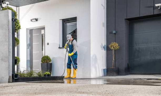 Best Soft Washing  in Lamar, TX